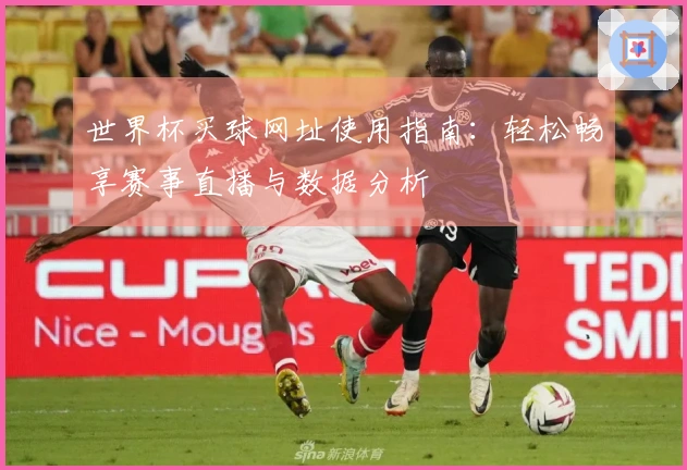 世界杯买球网址使用指南:轻松畅享赛事直播与数据分析
