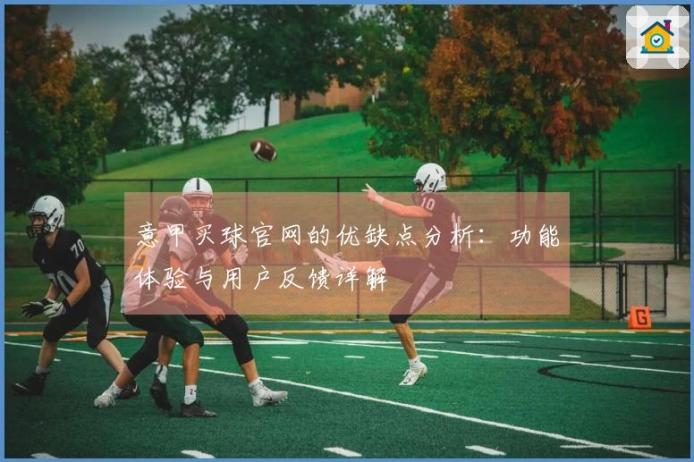 意甲买球官网的优缺点分析：功能体验与用户反馈详解