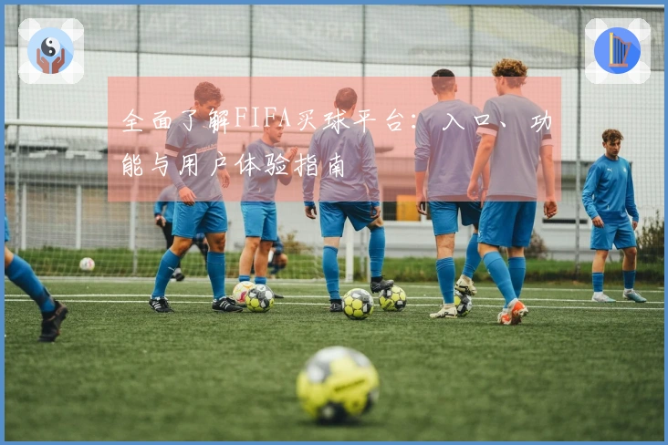 全面了解FIFA买球平台：入口、功能与用户体验指南