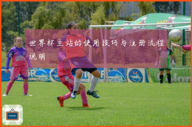 世界杯主站的使用技巧与注册流程说明