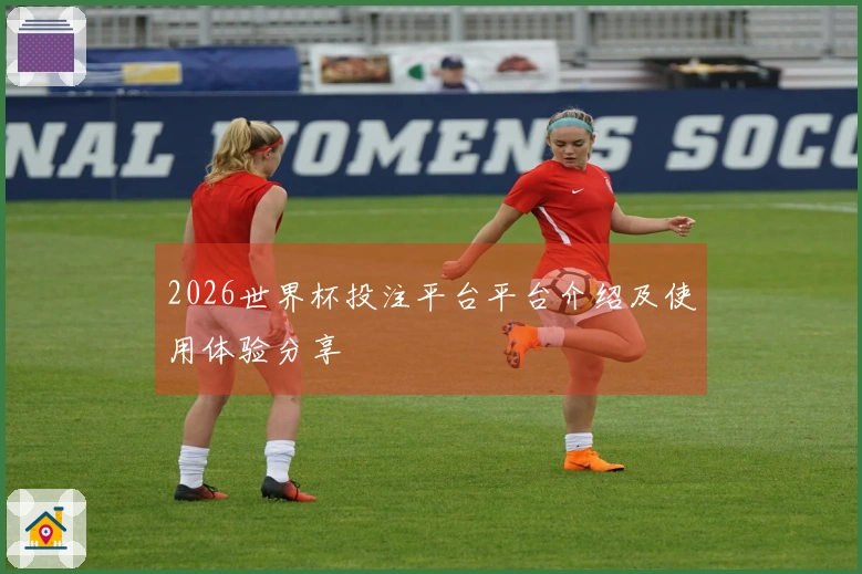 2026世界杯投注平台平台介绍及使用体验分享