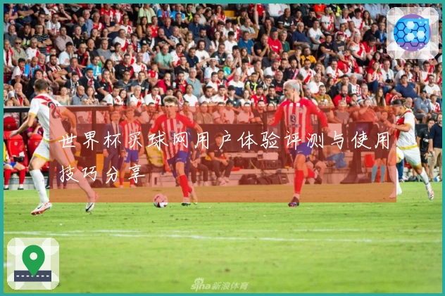 世界杯买球网用户体验评测与使用技巧分享