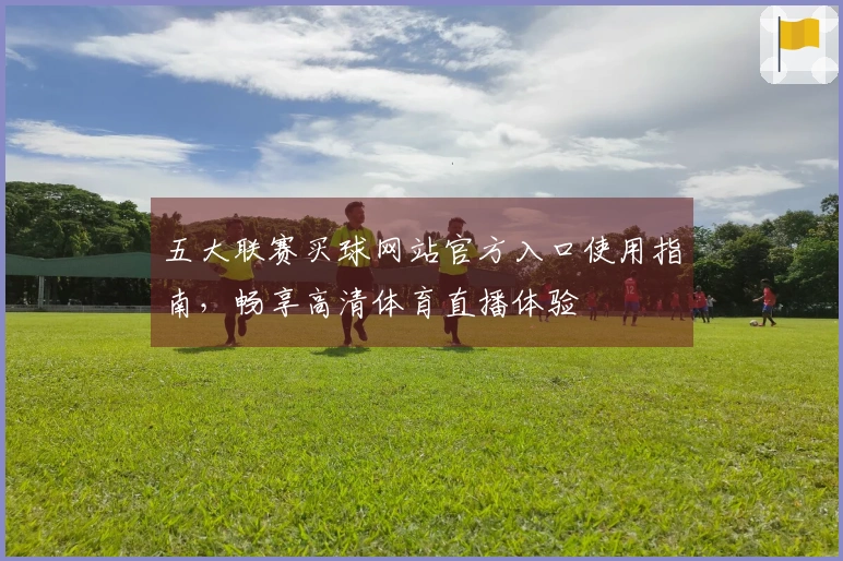 五大联赛买球网站官方入口使用指南，畅享高清体育直播体验
